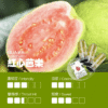 微信图片_20250611215243_80.png 【ILIA哩啞煙彈】一代通用 ✨濃厚度的冠軍💖